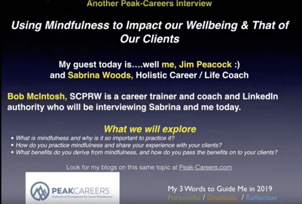 mindfulness and career practitioners