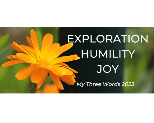 Orange flower with green background and the words, exploration, humility, and joy